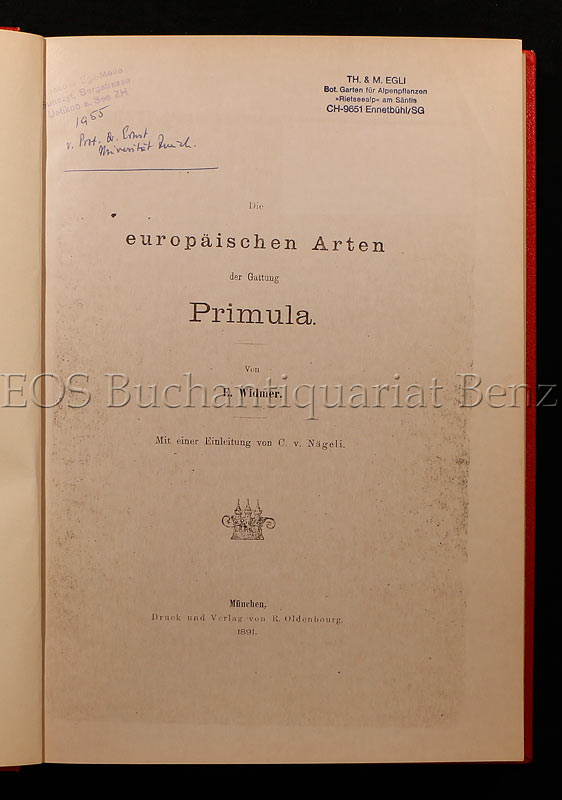 Die europäischen Arten der Gattung Primula. - EOS BUCHANTIQUARIAT BENZ Widmer, E(lise): -Die europäischen Arten der Gattung Primula.