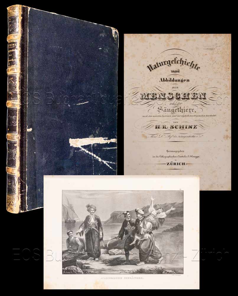 Naturgeschichte und Abbildungen der Menschen und der Säugethiere - EOS BUCHANTIQUARIAT BENZ Schinz, Heinrich Rudolf: -Naturgeschichte und Abbildungen der Menschen und der Säugethiere