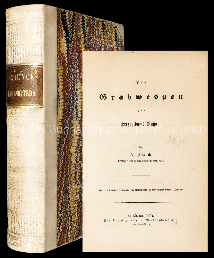 Die Grabwespen des Herzogthums Nassau. – - EOS BUCHANTIQUARIAT BENZ Schenck, Adolf: -Die Grabwespen des Herzogthums Nassau. –