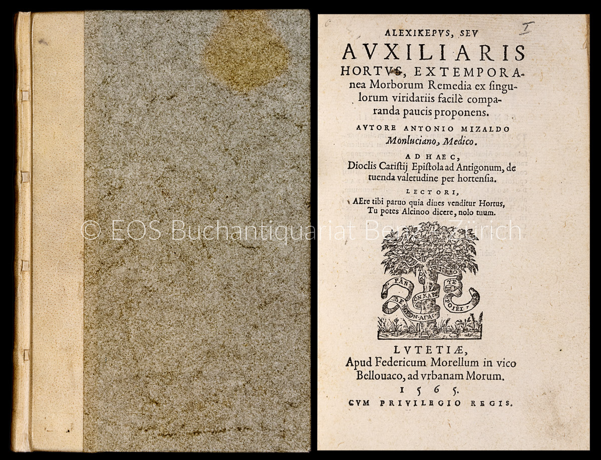 40332DB - EOS BUCHANTIQUARIAT BENZ Mizaldus (Mizauld), Antoine: -