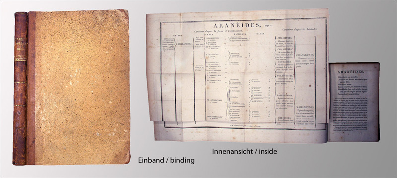 Tableau des aranéïdes, - EOS BUCHANTIQUARIAT BENZ Walckenaer, Charles Athanase: -Tableau des aranéïdes,