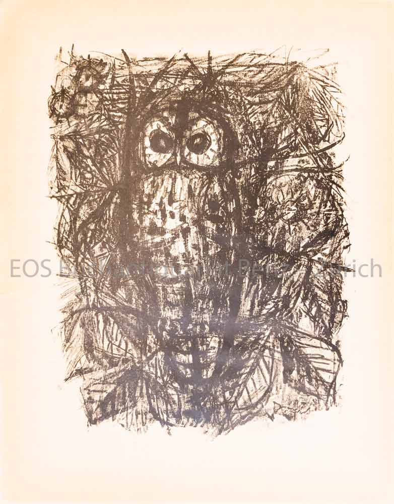 Waldkauz. - EOS BUCHANTIQUARIAT BENZ Fischer, Hans (1909–1958): -Waldkauz.