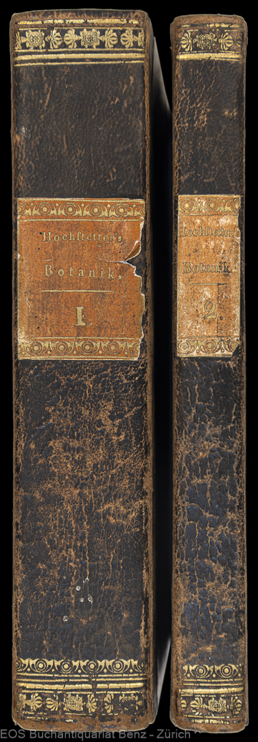 Populäre Botanik, - EOS BUCHANTIQUARIAT BENZ Hochstetter, Ch(ristian) F(erdinand Friedrich): -Populäre Botanik,