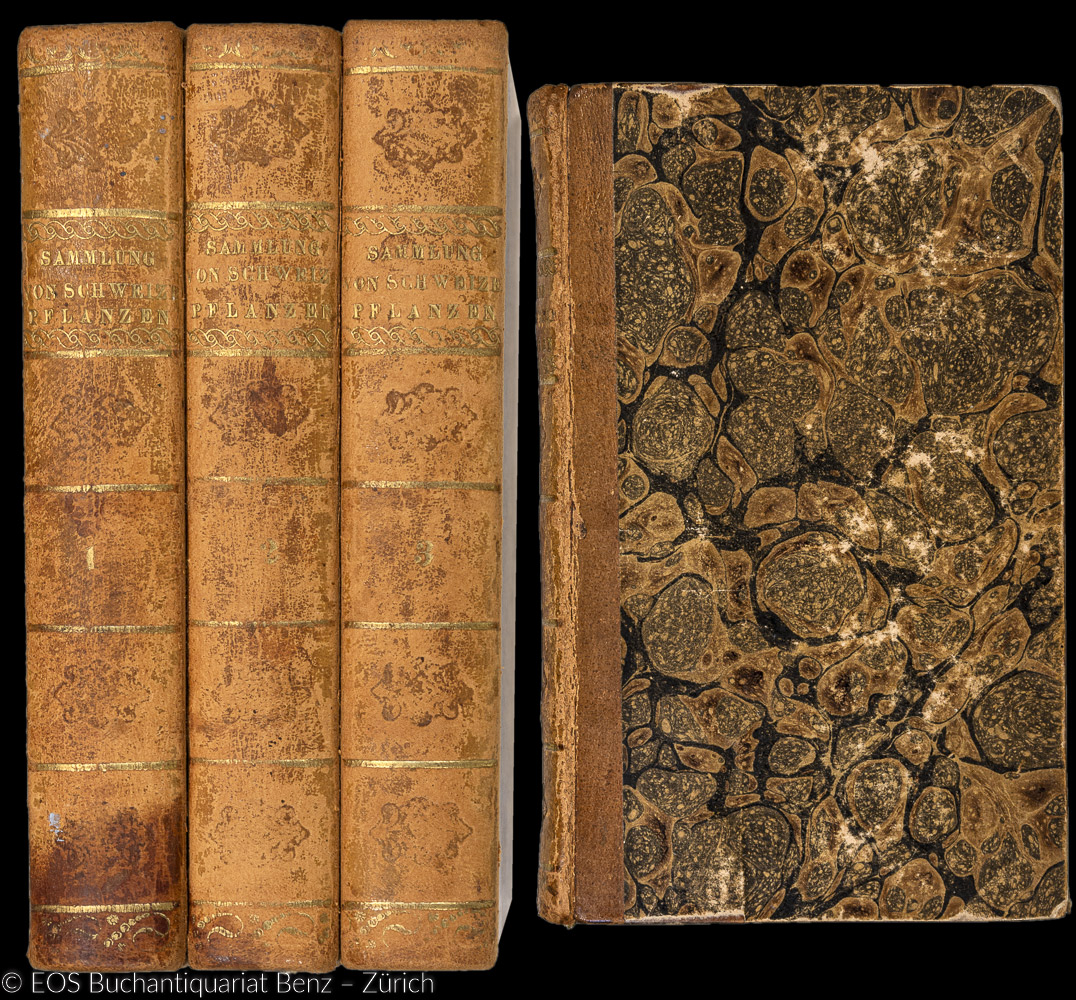 Sammlung von Schweizer Pflanzen - EOS BUCHANTIQUARIAT BENZ Hegetschweiler, Johannes: -Sammlung von Schweizer Pflanzen