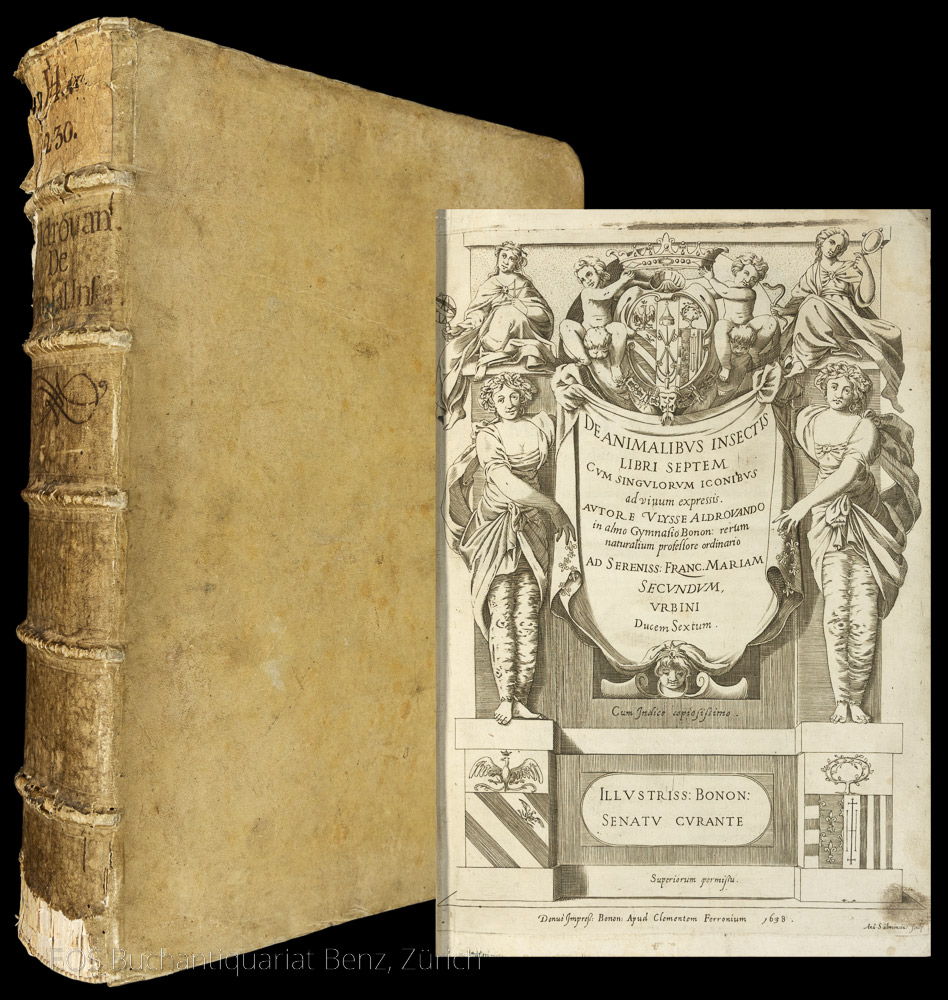 De Animalibvs Insectis Libri Septem. - EOS BUCHANTIQUARIAT BENZ Aldrovandi, Ulisse: -De Animalibvs Insectis Libri Septem.