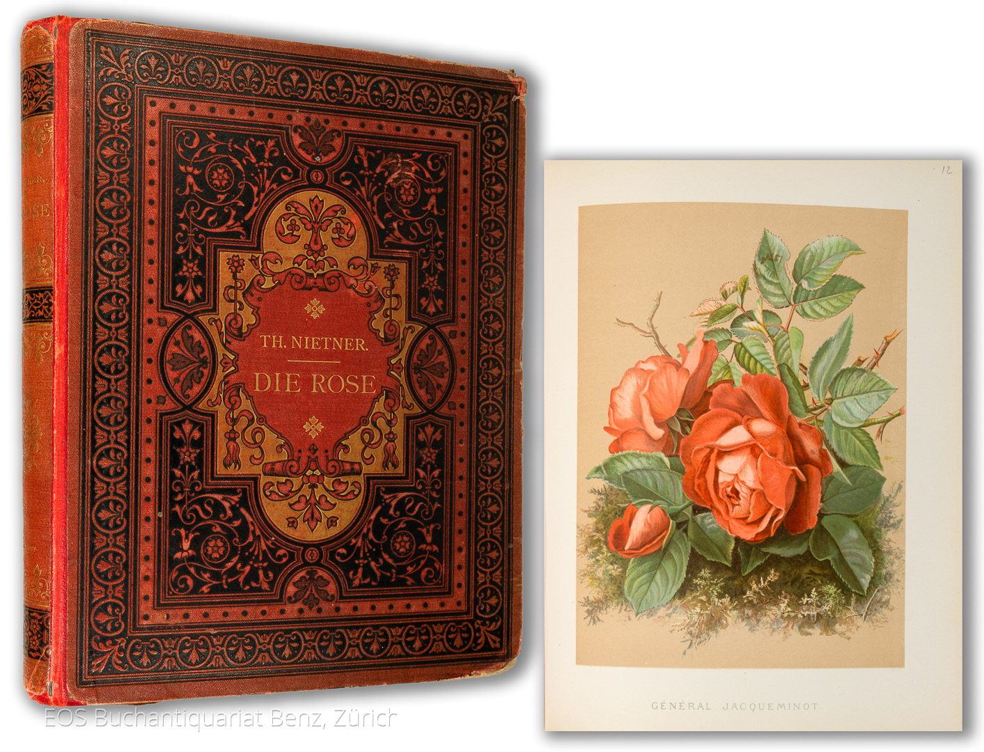 Die Rose. - EOS BUCHANTIQUARIAT BENZ Nietner, Theodor: -Die Rose.