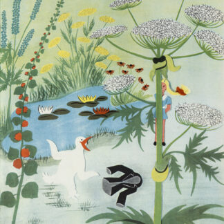 Roelli, Hans: -Pinggi.