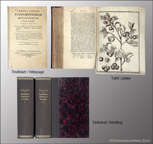 Systematis plantarum Europae pars Philosophica. - - EOS BUCHANTIQUARIAT BENZ Linné, Carl von: -Systematis plantarum Europae pars Philosophica. -