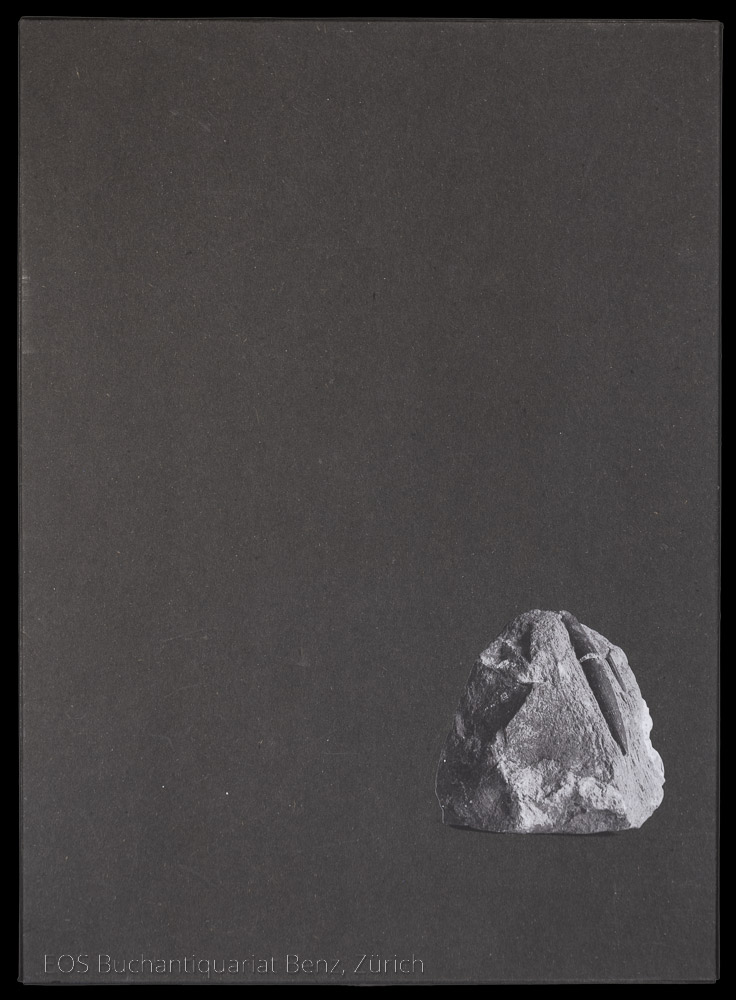 Le Monde de Candide. - EOS BUCHANTIQUARIAT BENZ Schwartz, Daniel -Le Monde de Candide.