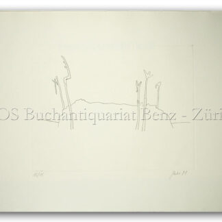 Stiefel, Peter: -Das Sommergrab.