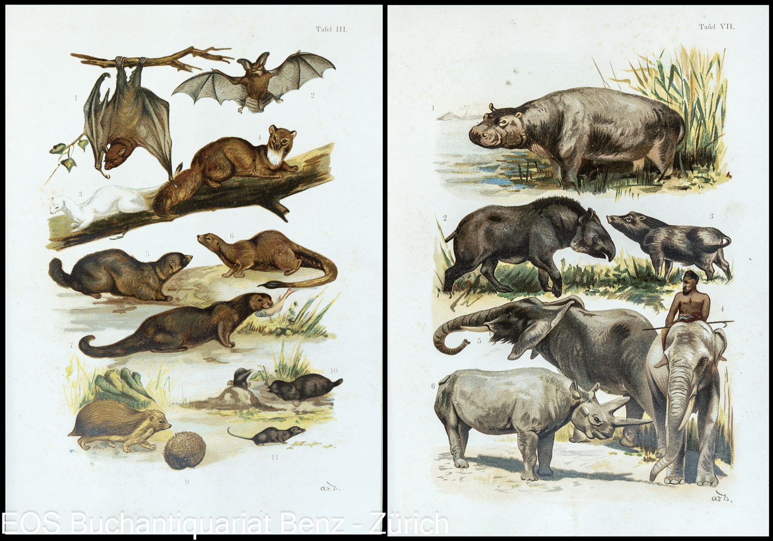 6124BB_2 - EOS BUCHANTIQUARIAT BENZ