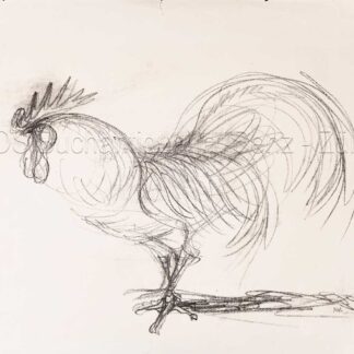 Fischer, Hans (1909–1958): -Stehender Hahn.