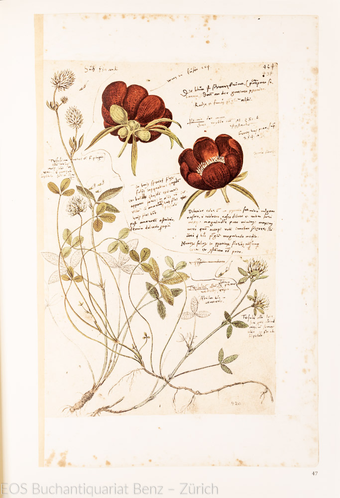 4446DB_2 - EOS BUCHANTIQUARIAT BENZ