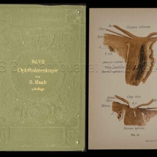 Haab, O(tto): -Atlas und Grundriss der Ophtalmoscopie und ophtalmoscopischen Diagnostik.