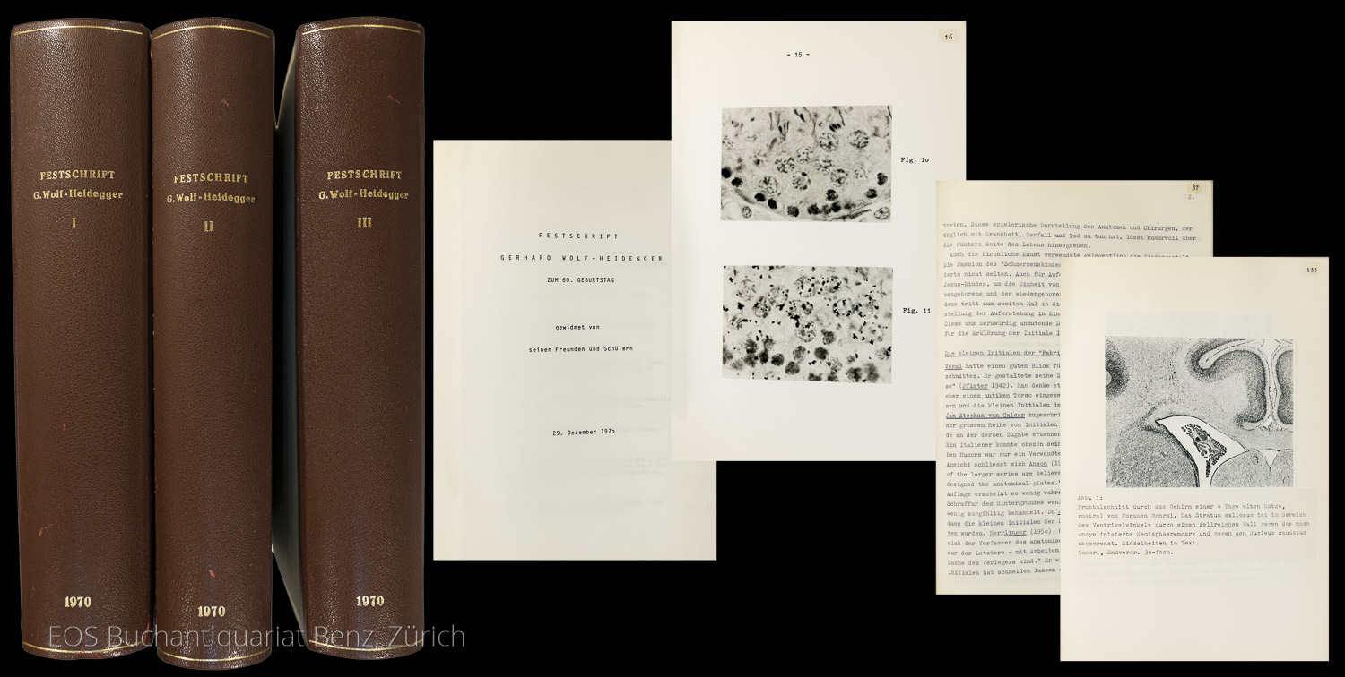 Festschrift Gerhard Wolf-Heidegger zum 60. Geburtstag. - EOS BUCHANTIQUARIAT BENZ -Festschrift Gerhard Wolf-Heidegger zum 60. Geburtstag.