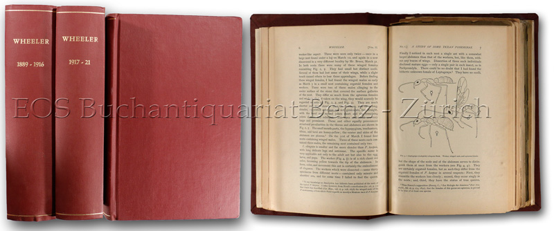 (Publikationen von 1889-1938). - EOS BUCHANTIQUARIAT BENZ Wheeler, William Morton: -(Publikationen von 1889-1938).