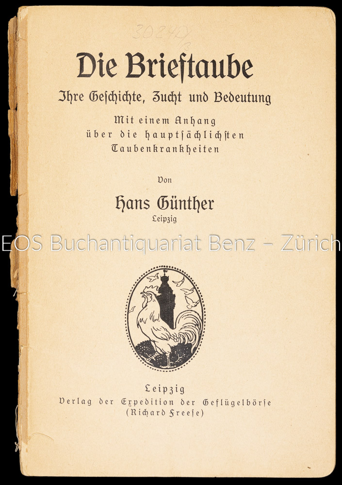 Die Brieftaube. - EOS BUCHANTIQUARIAT BENZ Günther, Hans: -Die Brieftaube.