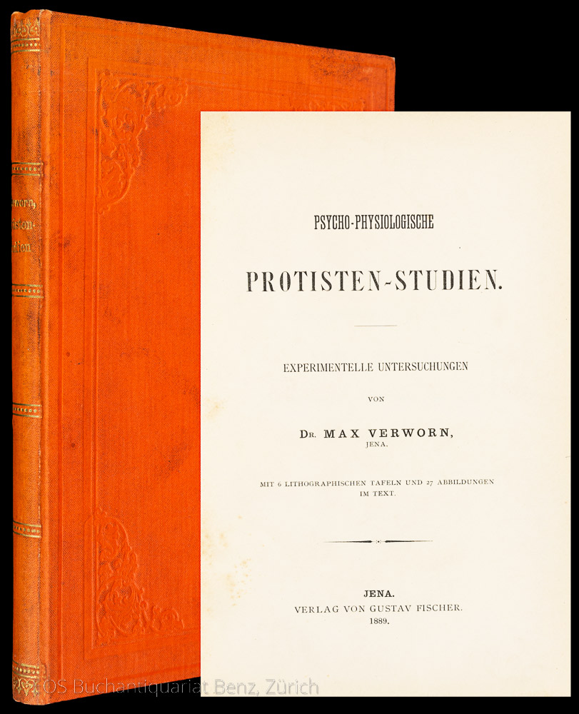 Psycho-physiologische Protisten-Studien. - EOS BUCHANTIQUARIAT BENZ Verworn, Max: -Psycho-physiologische Protisten-Studien.