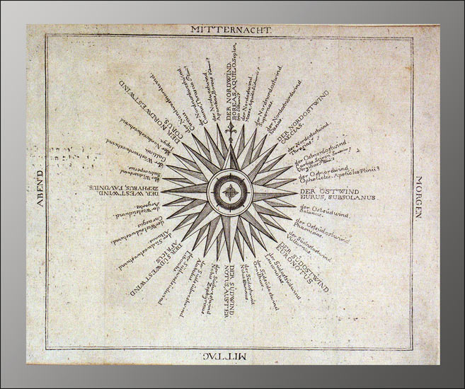 Naturgeschichte der Springwürmer - EOS BUCHANTIQUARIAT BENZ Phelsum, M(urk) van: -Naturgeschichte der Springwürmer