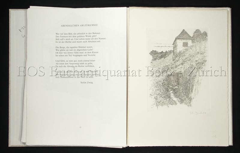 Der ganze Zürichsee vor meinen Füssen. - EOS BUCHANTIQUARIAT BENZ -Der ganze Zürichsee vor meinen Füssen.