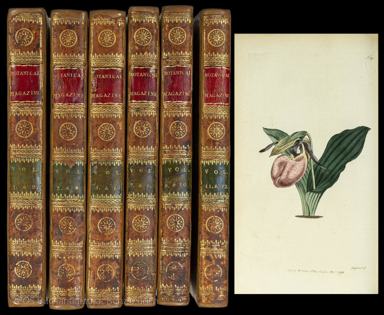 The botanical Magazine. - EOS BUCHANTIQUARIAT BENZ Curtis, William: -The botanical Magazine.
