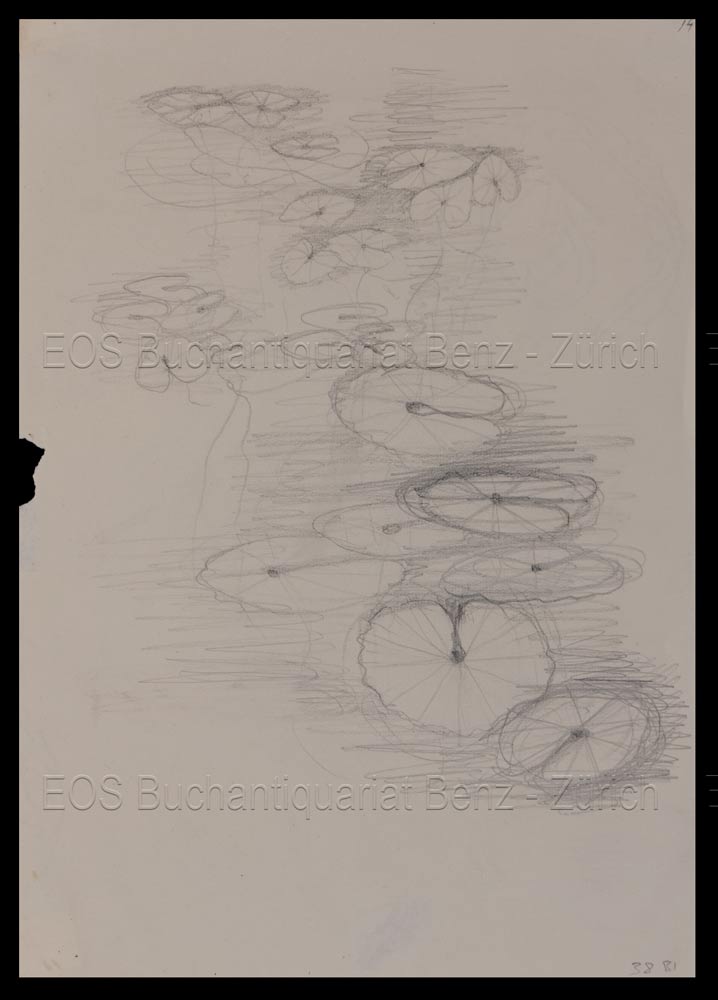 Seerosenblätter. - EOS BUCHANTIQUARIAT BENZ Fischer, Hans (1909–1958): -Seerosenblätter.