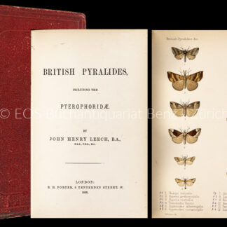 Leech, John Henry: -British Pyralides Including the Pterophoridae.