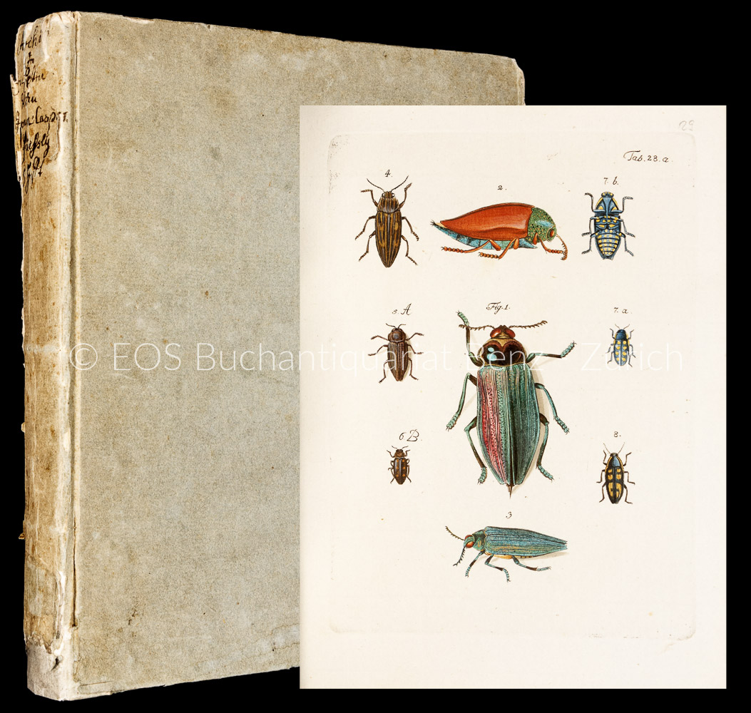 Archiv der Insectengeschichte. Herausgegeben von Johann Caspar Füessly. - EOS BUCHANTIQUARIAT BENZ Füssli, Johann Caspar: -Archiv der Insectengeschichte. Herausgegeben von Johann Caspar Füessly.