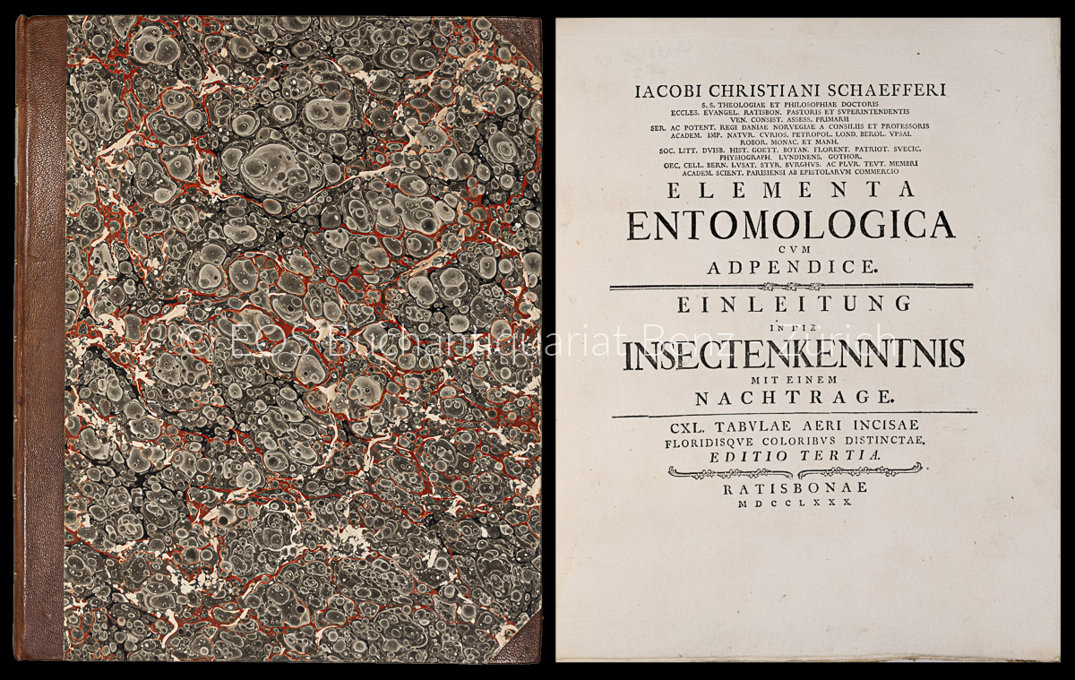 Elementa entomologica cum apendice. Einleitung in die Insectenkenntnis mit einem Nachtrage. - EOS BUCHANTIQUARIAT BENZ Schaeffer, Jacob Christian: -Elementa entomologica cum apendice. Einleitung in die Insectenkenntnis mit einem Nachtrage.