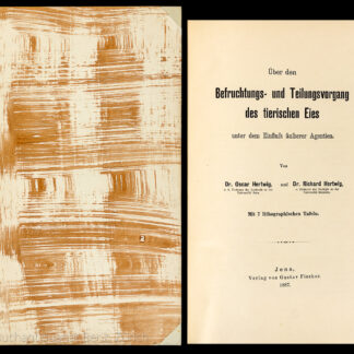 Hertwig, Oscar: -Über den Befruchtungs- und Teilungsvorgang des tierischen Eies unter dem Einfluss äusserer Agentien.