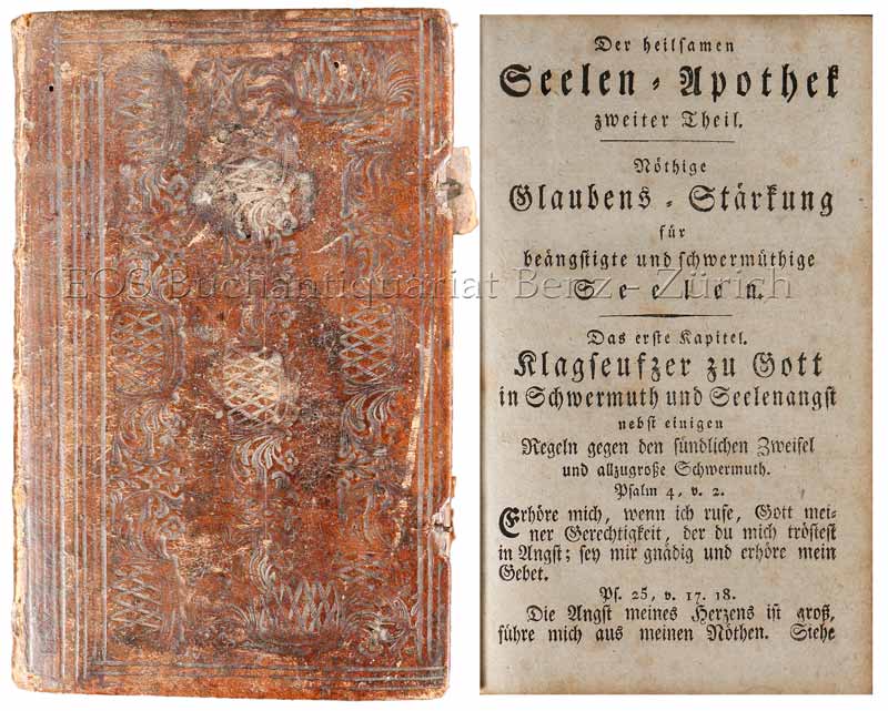 Das Leben, der Kampf und die Krone der weyland hochgeborenen Reichs-Gräfin, ud Frauen, Frauen Maria Catharina Sophia, - EOS BUCHANTIQUARIAT BENZ Maria Catharina Sophia, Hohenlohe-Ingelfingen, Gräfin u. Baumann, Heinrich: -Das Leben, der Kampf und die Krone der weyland hochgeborenen Reichs-Gräfin, ud Frauen, Frauen Maria Catharina Sophia,