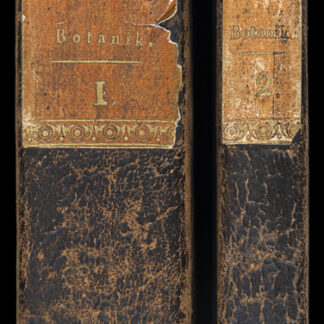 Hochstetter, Ch(ristian) F(erdinand Friedrich): -Populäre Botanik,