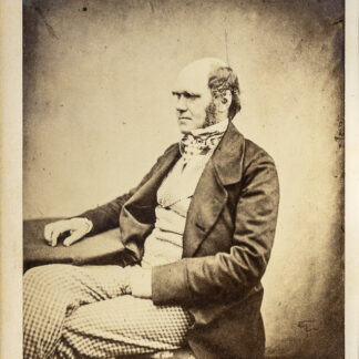 Darwin, Charles: -Über die Entstehung der Arten im Thier- und Pflanzen-Reich durch natürliche Züchtung,