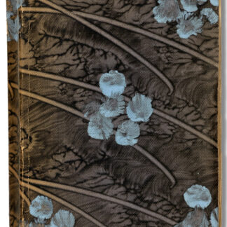 Corrodi, August: -De Herr Doktor.