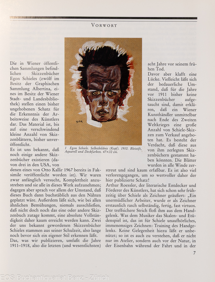 Nebehay, Christian M.: Egon Schiele - Von der Skizze zum Bild. – Bild 3