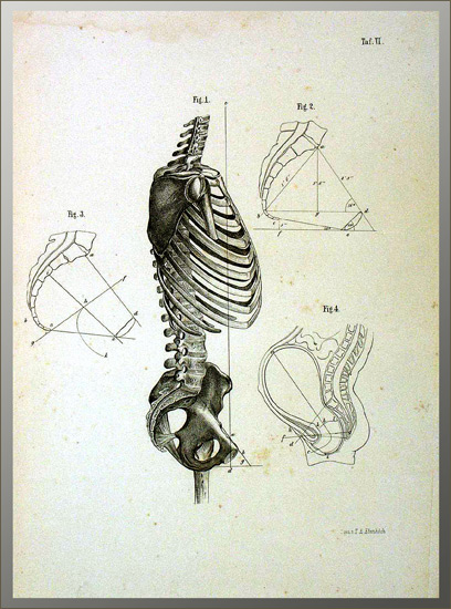 Kiwisch von Rotterau, Franz: -Atlas der Geburtskunde mit Einschluss der Lehre von den übrigen Fortpflanzungsvorgängen im weiblichen Organismus. I. Abtheilung. Physiologie und Diätetik (alles was erschienen).