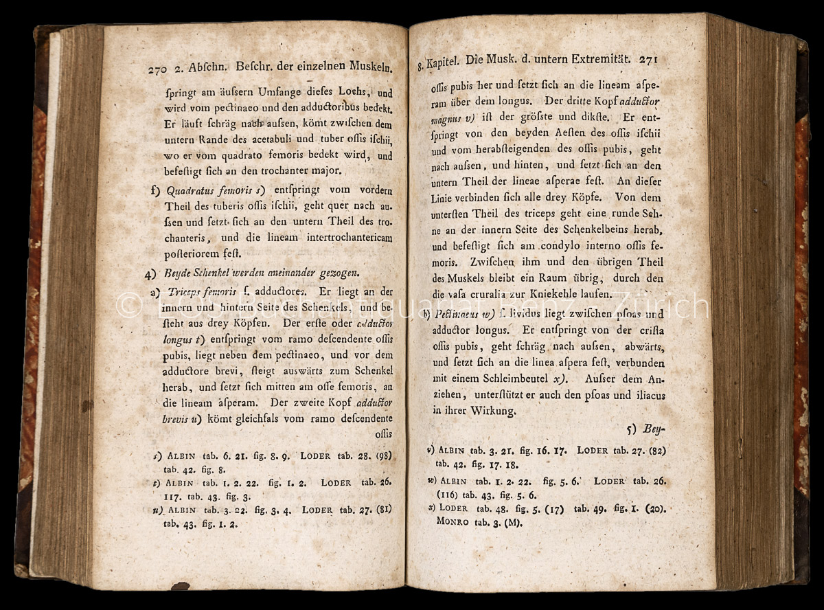 Hempel, Adolph Friedrich: Anfangsgründe der Anatomie. – Bild 2