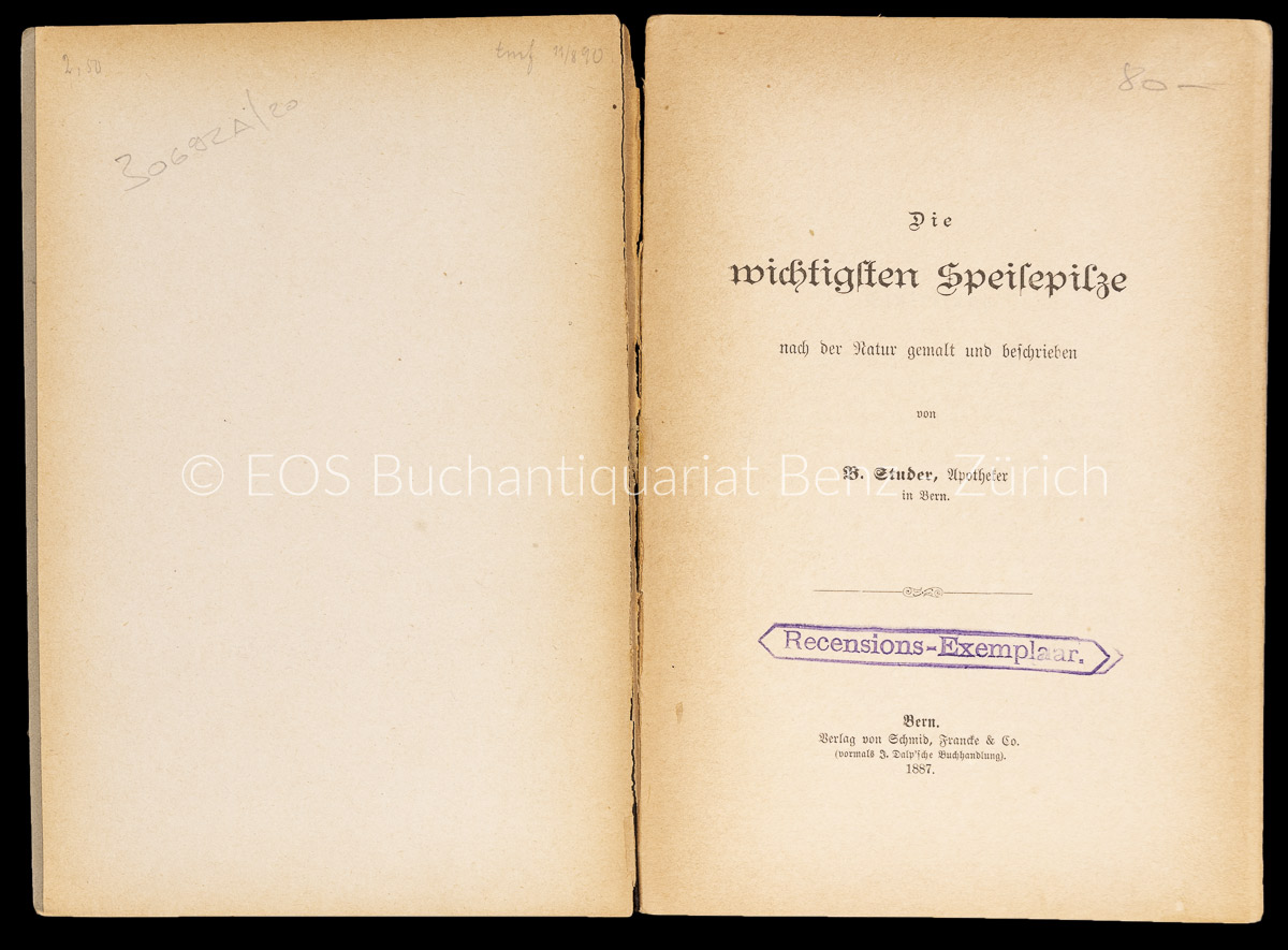 Studer, B.: Die wichtigsten Speisepilze der Schweiz nach der Natur gemalt und beschrieben von B. Studer, Apotheker in Bern. - Image 2