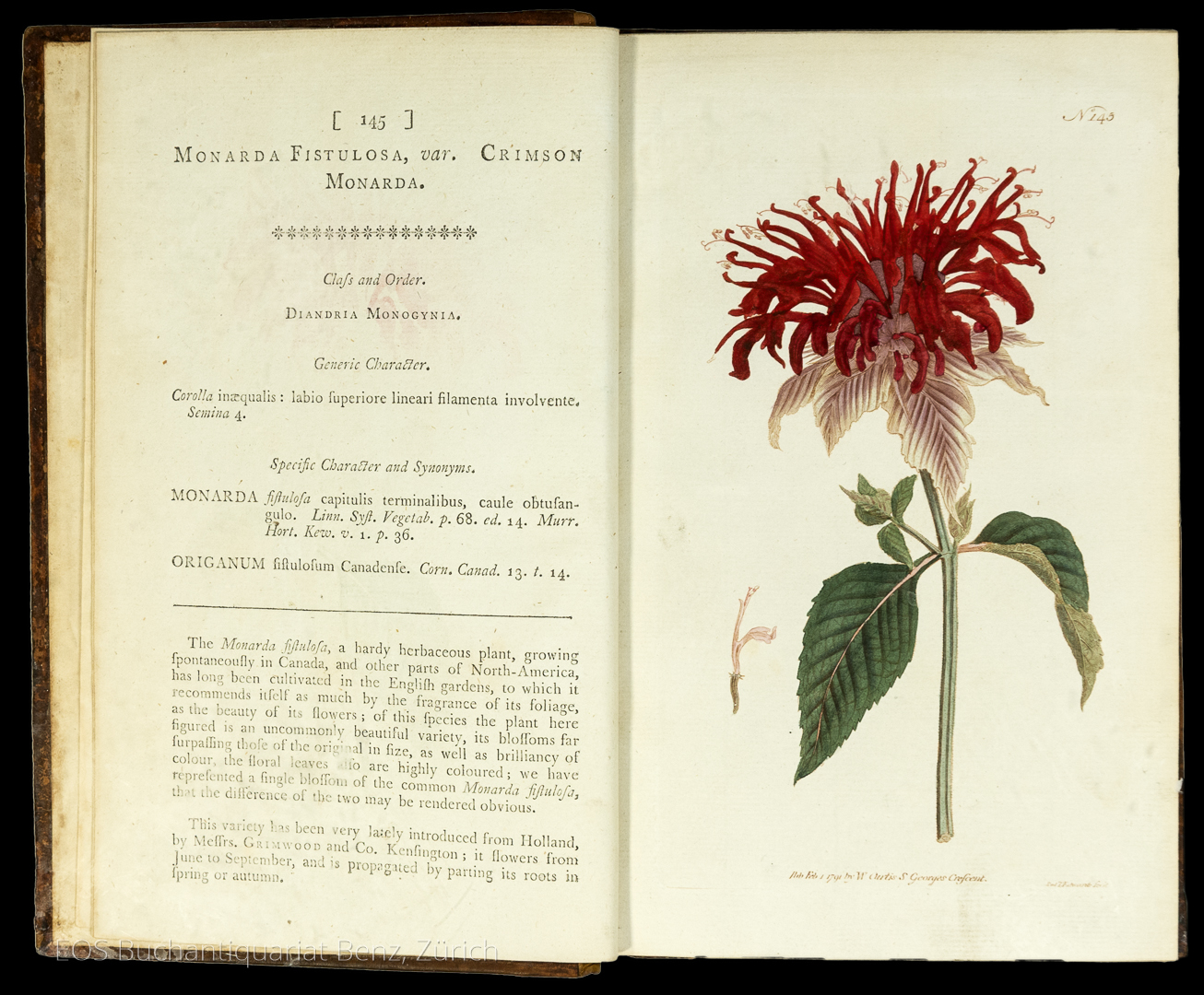 Curtis, William: The botanical Magazine. – Bild 2
