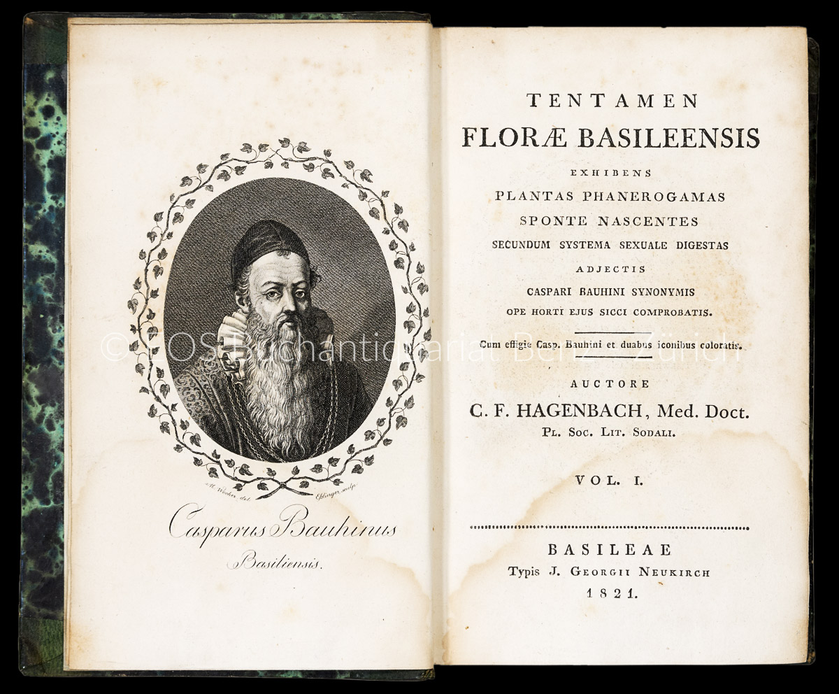 Hagenbach, Carl Friedrich: Tentamen florae Basileensis exhibens plantas phanereogamas sponte nascentes secundum systema sexuale digestas. Adjectis Bauhinis synonymis ope horti ejus sicci comprobatis. - Image 2