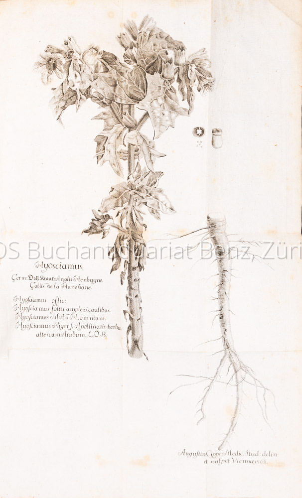 Auenbrugger, Leopold: Inventum novum ex percussione thoracis humani ut signo abstrusos interni pectoris morbos detegendi. – Bild 4