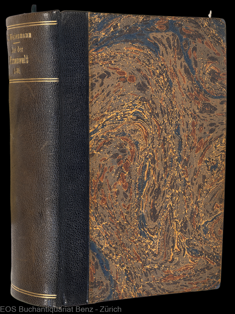 Weilenmann, Johann Jakob: Aus der Firnenwelt. - Image 3