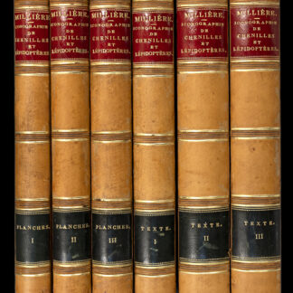 Millière, Pierre: -Icnographie et description de chenilles et lépidoptères inédits.