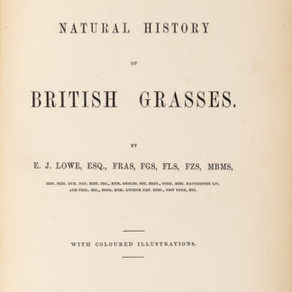 Lowe, Edward Joseph: -Natural History of British Grasses.