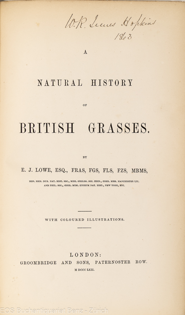 Lowe, Edward Joseph: -Natural History of British Grasses.
