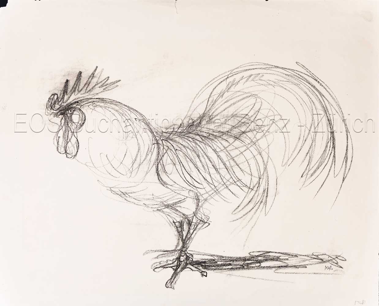 Fischer, Hans (1909–1958): -Stehender Hahn.
