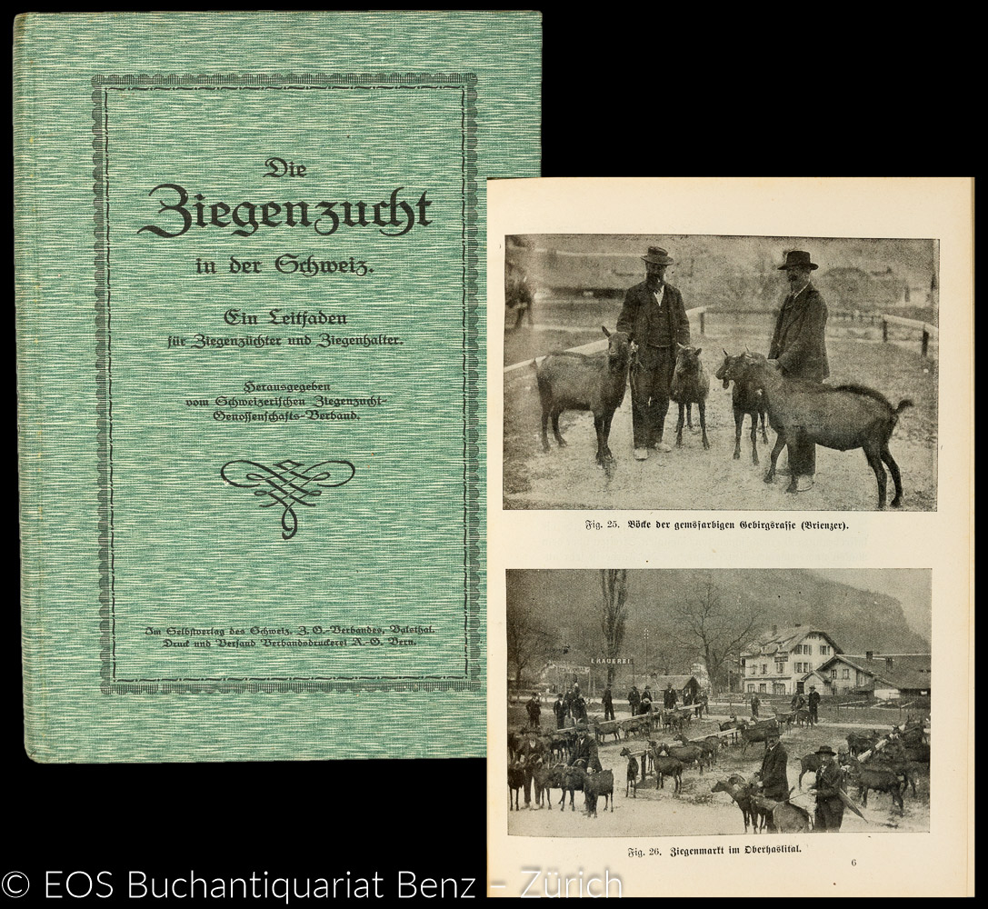 Gräff, Hermann (Red.): -Die Ziegenzucht in der Schweiz.