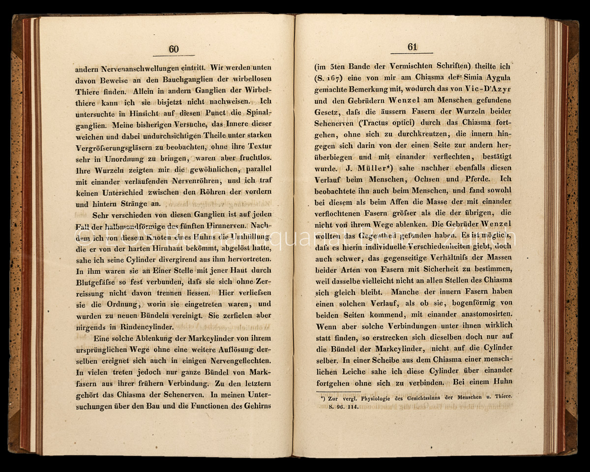 Treviranus, Gottfried Reinhold: Beiträge zur Aufklärung der Erscheinungen und Gesetze des organischen Lebens. - Image 2