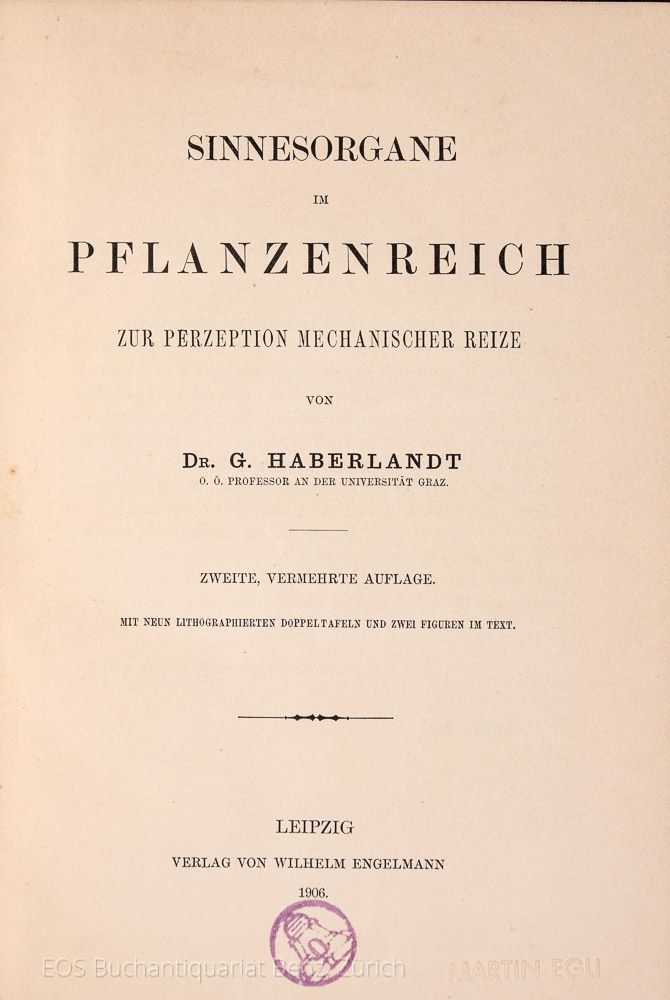 Haberlandt, G(ottlieb): Sinnesorgane im Pflanzenreich - Image 2