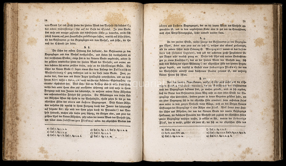 Scarpa, Antonio: Anatomische Untersuchungen des Gehörs und Geruchs. – Bild 3